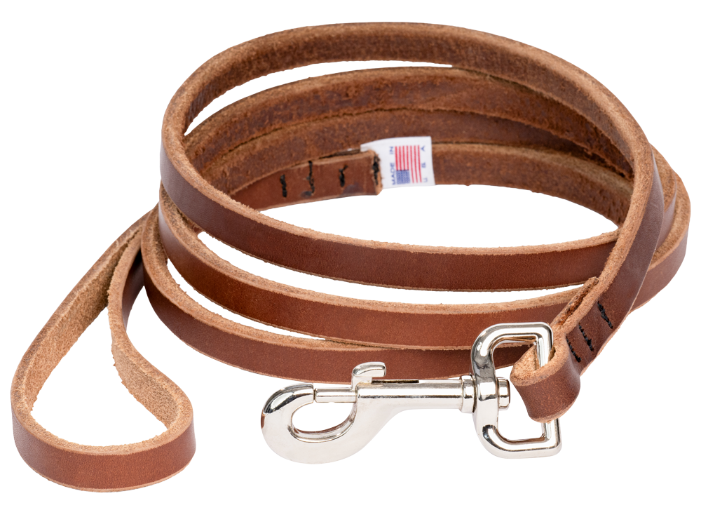 Pet Accessories