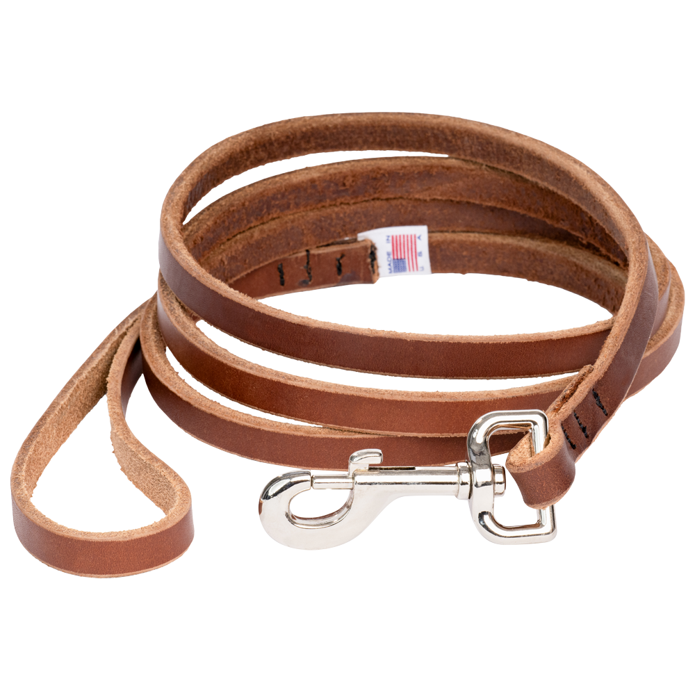 Dog Collars & Leashes