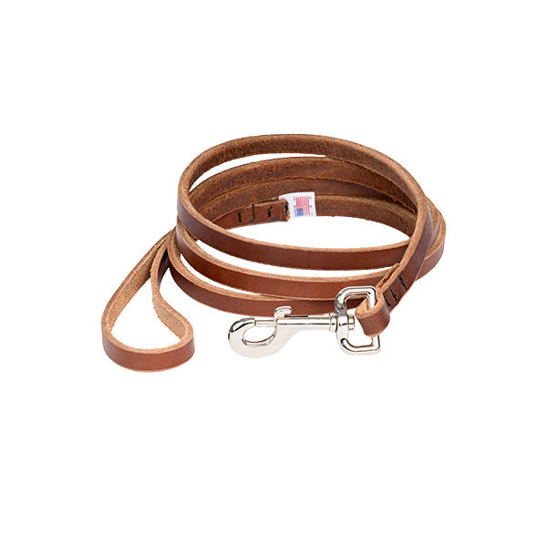 Pet Accessories