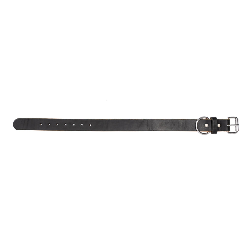 The Lion - 12oz Dog Collar