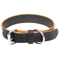 The Lion - 12oz Dog Collar