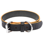 The Lion - 12oz Dog Collar