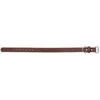 The Lion - 12oz Dog Collar