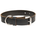 The Tiger - 9oz Dog Collar