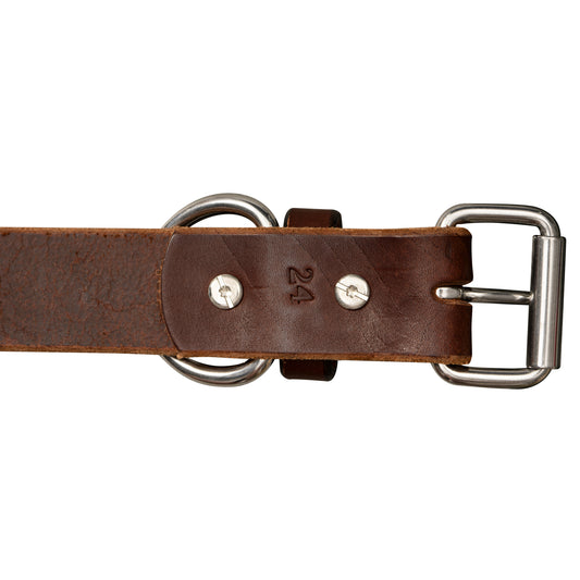 color::Brown;