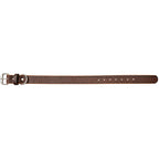 The Lion - 12oz Dog Collar